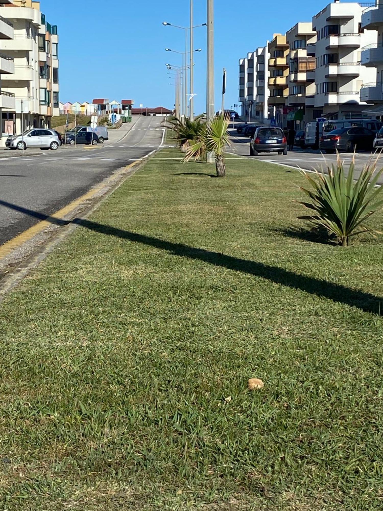 Apartamento Vista Mar Vieira de Leiria Kültér fotó